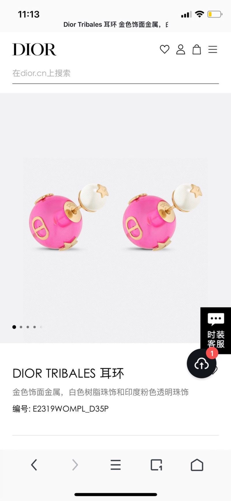 Christian Dior Earrings